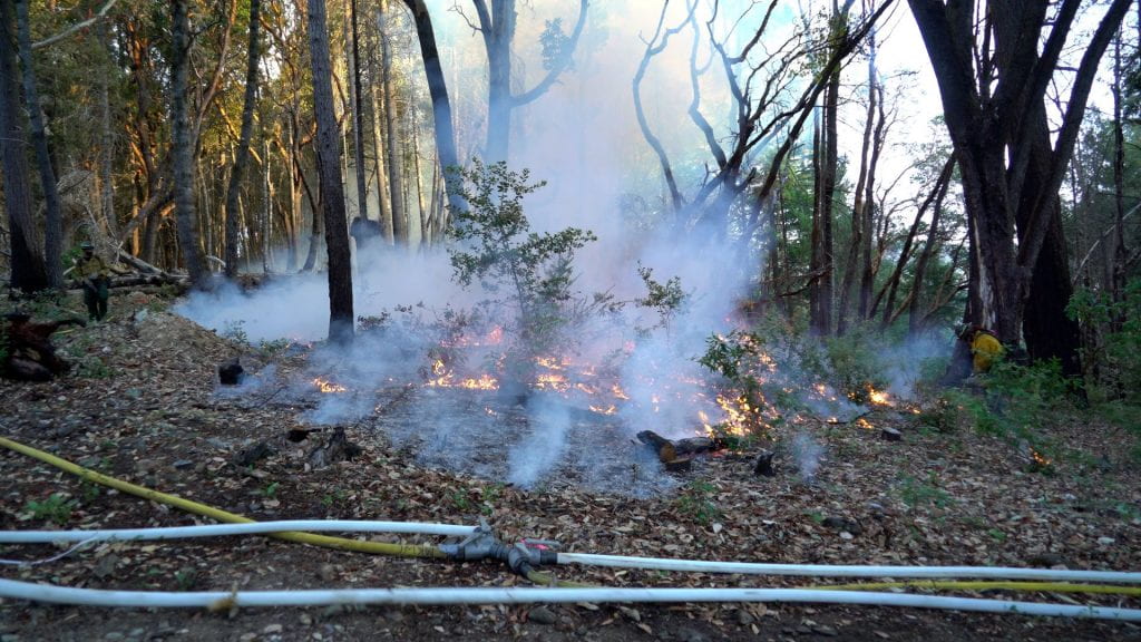 Beginning of a forest burn with hose layed out in the foreground.